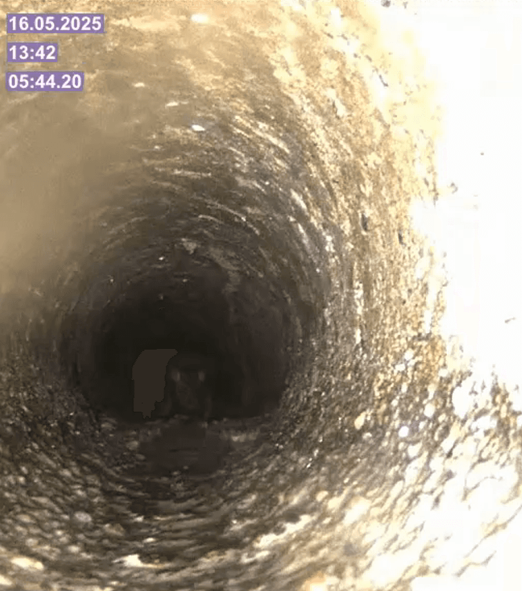 Bilde fra rørinspeksjon som viser rotte i avløpsrørene