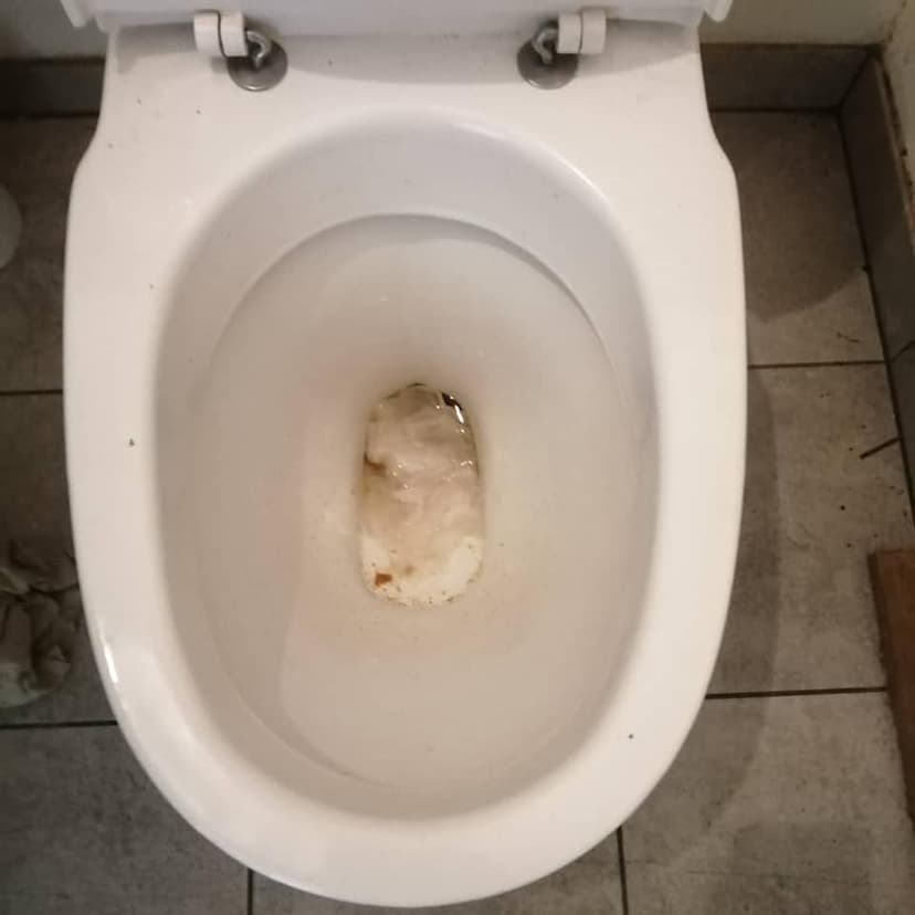 Bilde som viser tett toalett